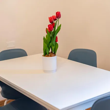 Eventi E Relax Vicino Allo Stadio E Al Centro Storico Apartamento